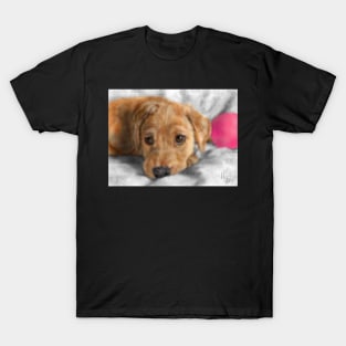 Sweet Golden Retriever Puppy T-Shirt